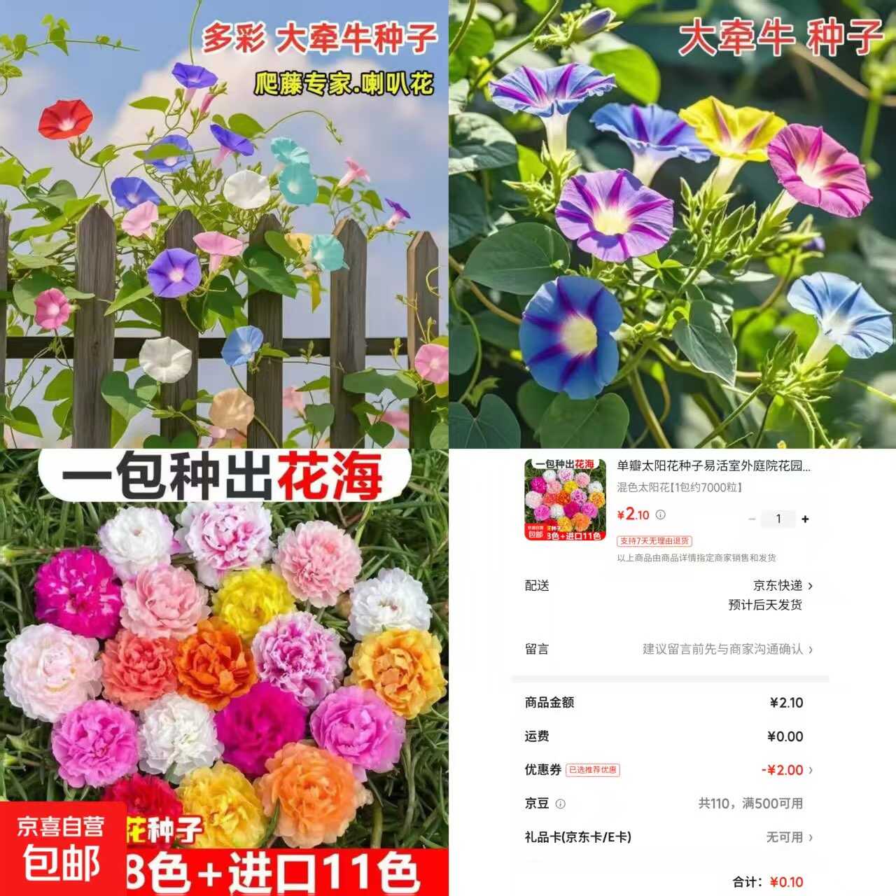 京东0.1太阳花种子约7000粒