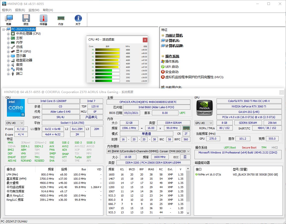 HWiNFO(专业系统信息检测工具) Pro v8.55.6100 多语便携版